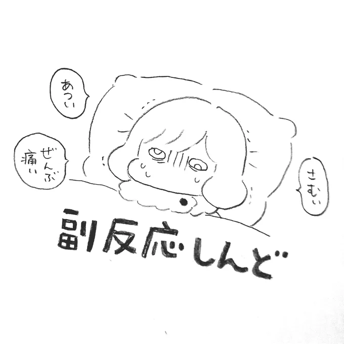 今日はほどほどに頑張ります 