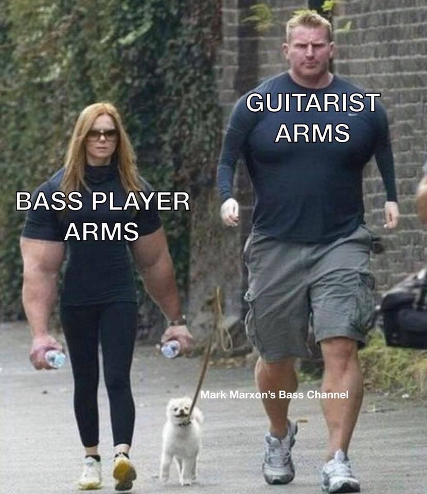 BassMagOnline's tweet image. 