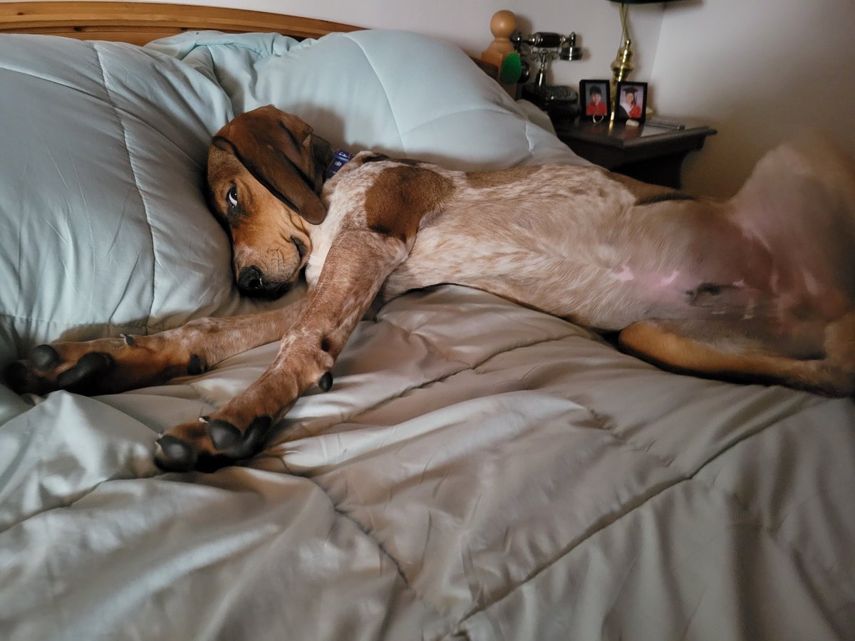 angnakak's tweet photo. This is Gus!! Lol https://t.co/xTMnc91y7Q