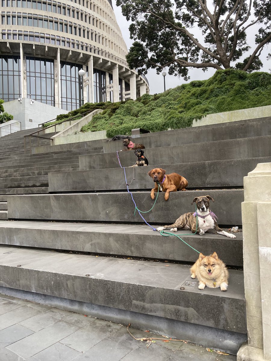 I JUST WALKED PAST THIS AND IT’S MADE MY YEAR!