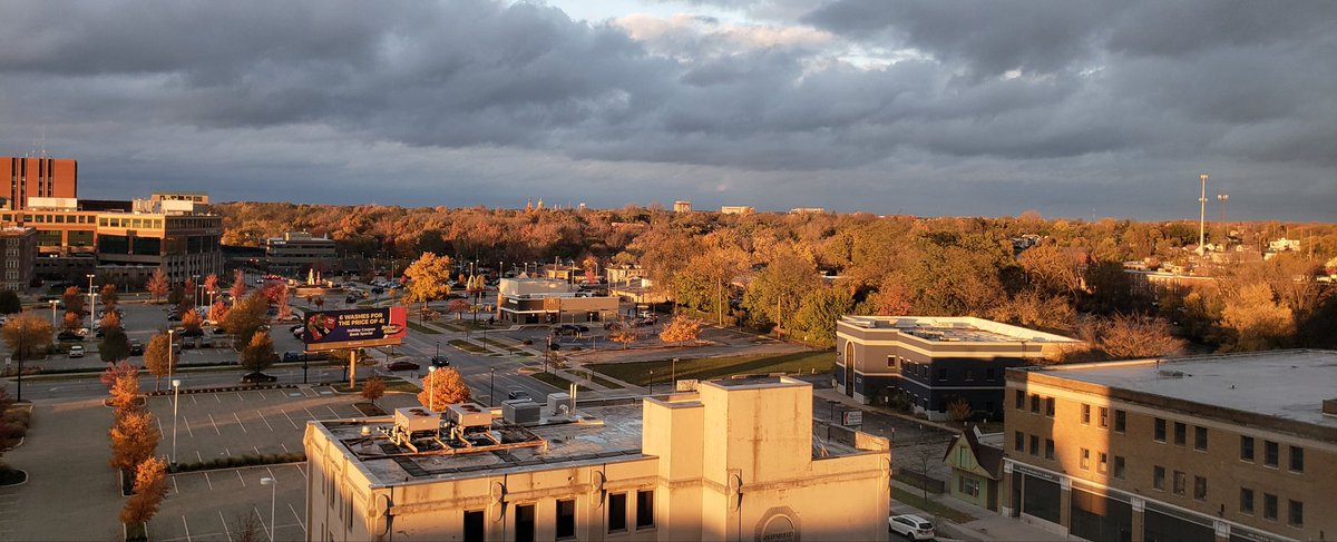 Caz🐝🛰🏳️🌈⬛⬜🟪 tweet media