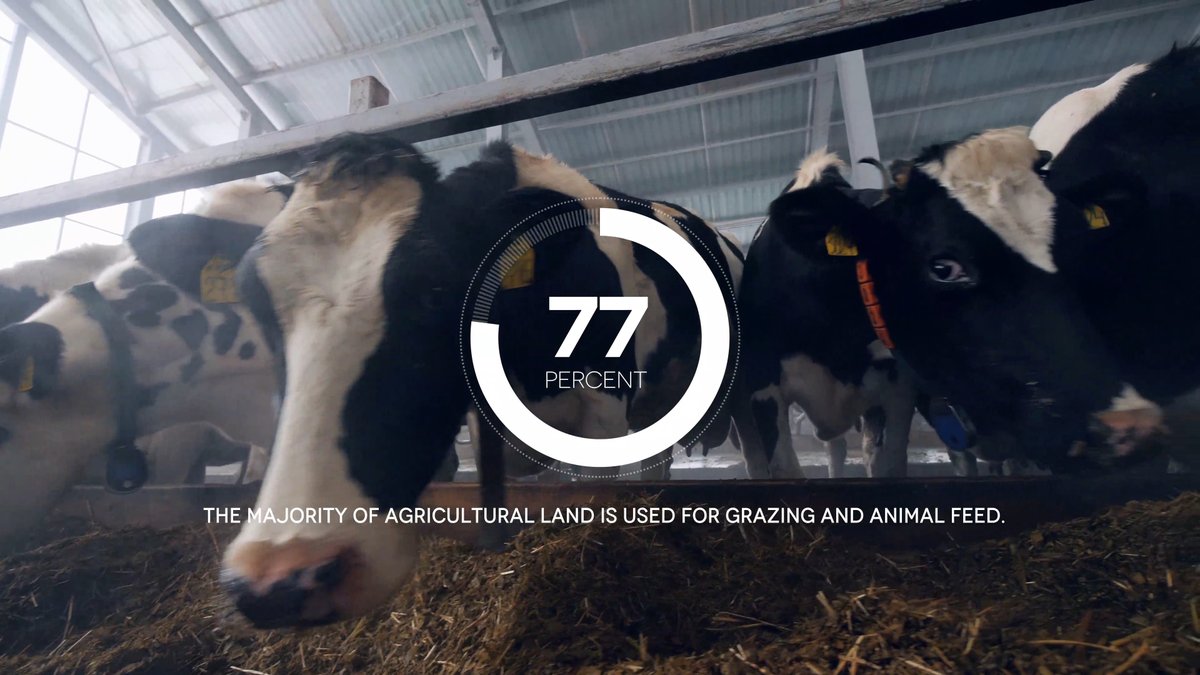 InfiniteAcres tweet media