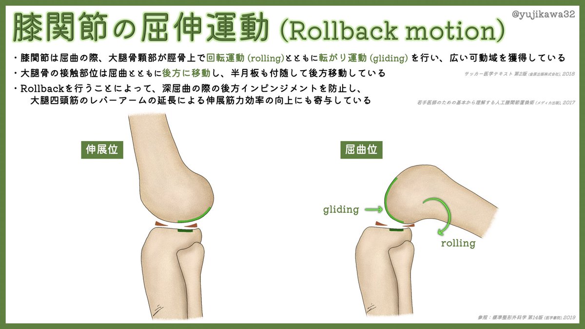 膝関節 Twitter Search Twitter