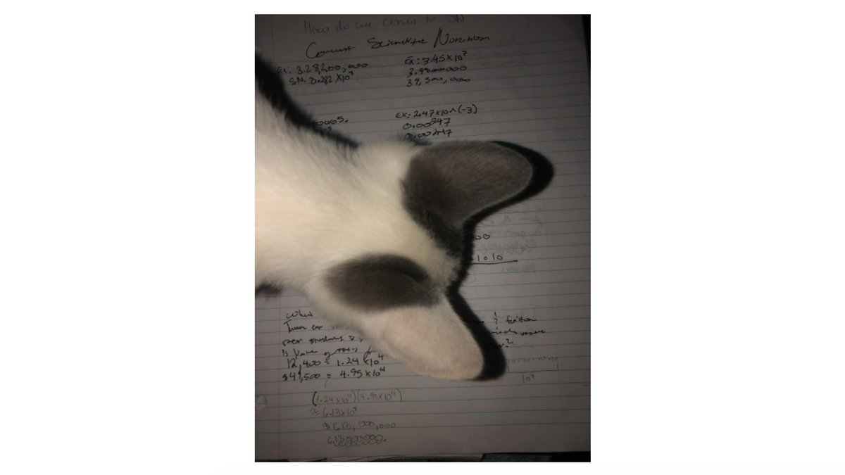 howie_hua's tweet image. Omg a student sent this as part of their notebook check. 😂