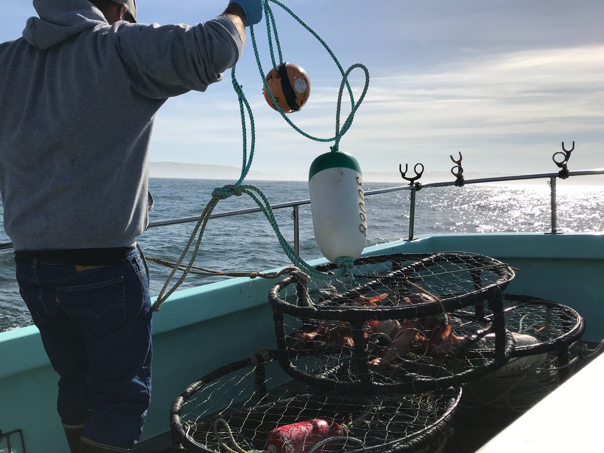 BlueOceanGear_'s tweet photo. Gearing up for a great weekend at @PacMarineExpo this week! Our team can't wait to meet you all in Seattle to showcase our smart buoys.
DM us to register for free for this event!
#ghostgear #smartbuoy #pacificmarineexpo https://t.co/aVMIk263iH