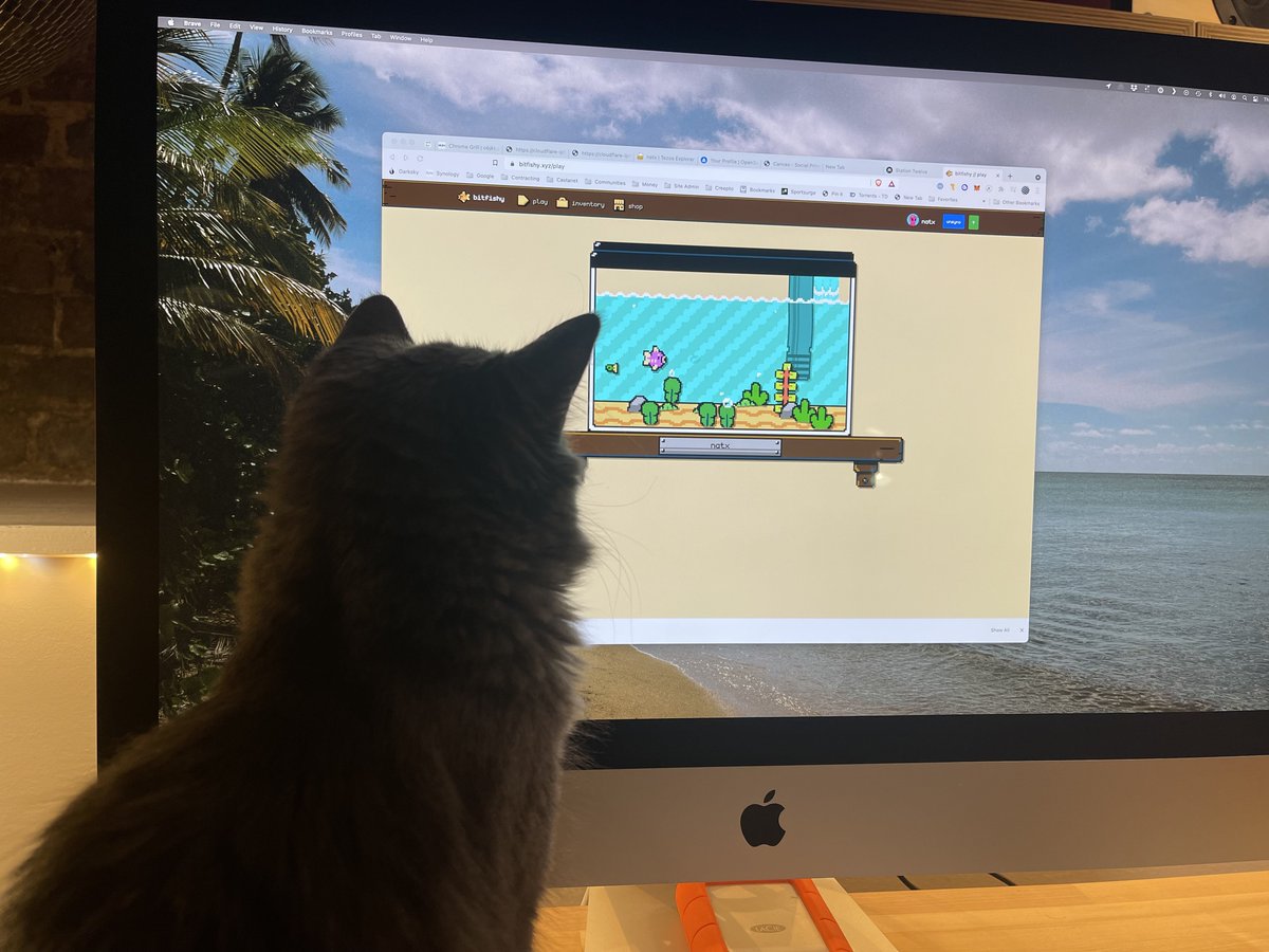 bitfishyNFT's tweet photo. uh oh, from @nattarbox https://t.co/D74Zp1b4Sz