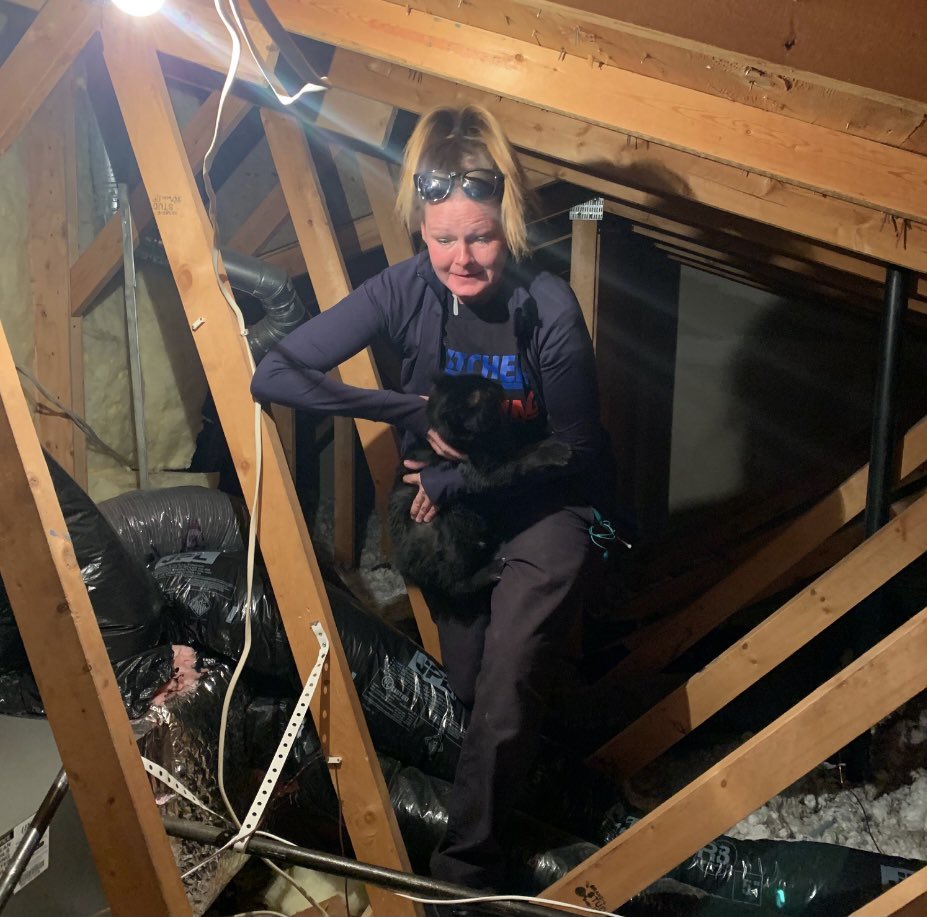 MitchellHVAC's tweet photo. Just a day in the life of a Mitchell Heating tech! Sometimes a simple job turns into a rescue mission..
#RESCUE #kitten #mitchellheating https://t.co/B2fOCX8veR