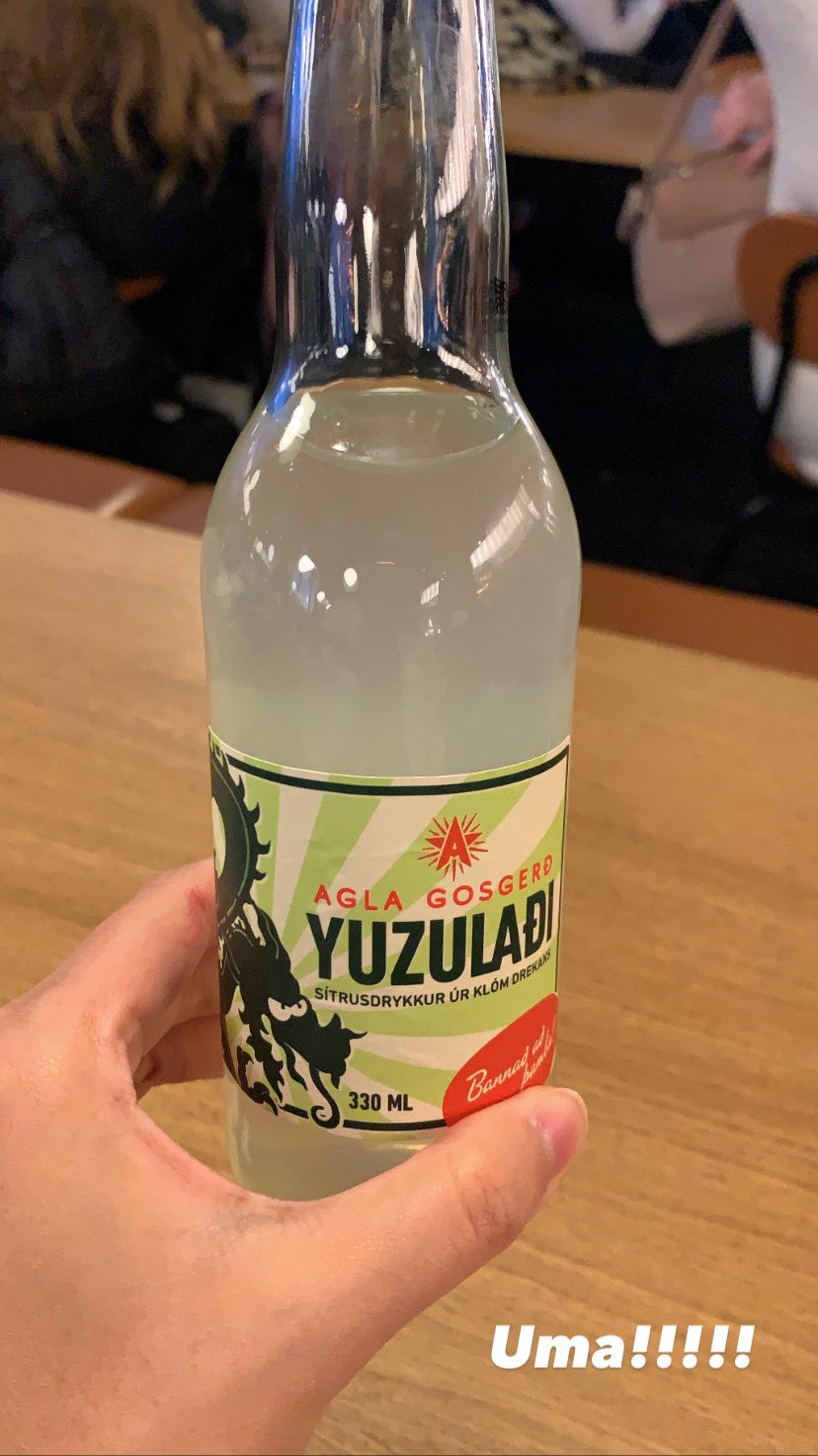 Icekanko アイスランドから発信中 Icekanko Twitter