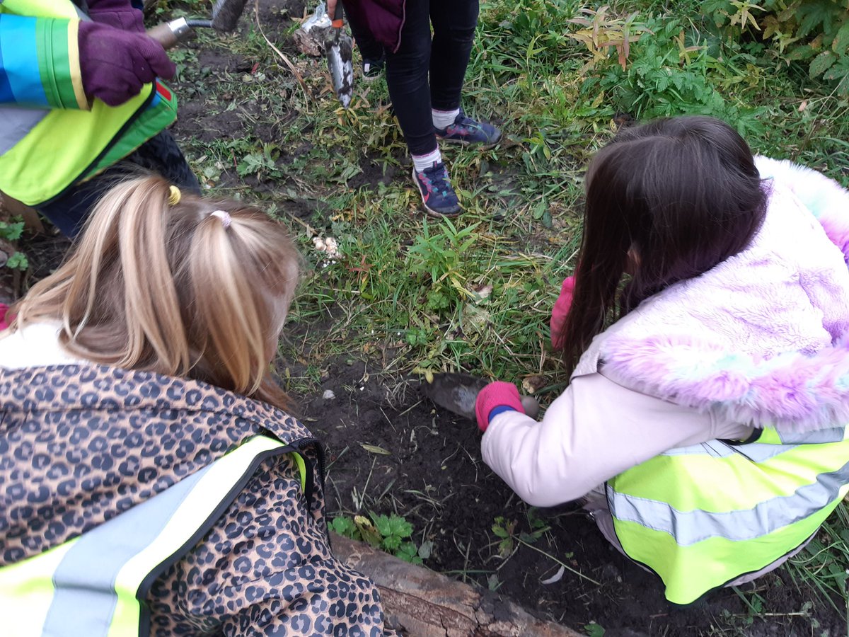 wildurbans's tweet photo. #ForceForNature the children have been planting hundreds of bulbs in the #Kingswood Park nature area this week. Can't wait to see the results in the springtime. @EcoSchools https://t.co/UtfnonA5Va