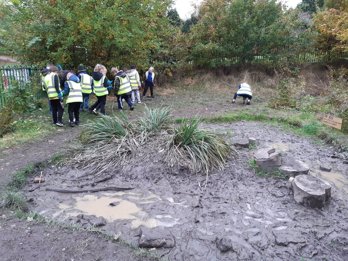 wildurbans's tweet photo. #ForceForNature the children have been planting hundreds of bulbs in the #Kingswood Park nature area this week. Can't wait to see the results in the springtime. @EcoSchools https://t.co/UtfnonA5Va