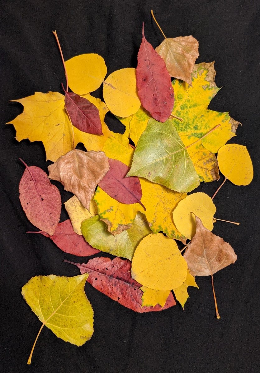 AnonymousMess's tweet image. I feel like it's squeezing me, crushing down on my head, my shoulders, compressing my spine. We appear in the blink of an eye then *poof* we're gone. The world moves on, and our absence is irrelevant. Time is so short.