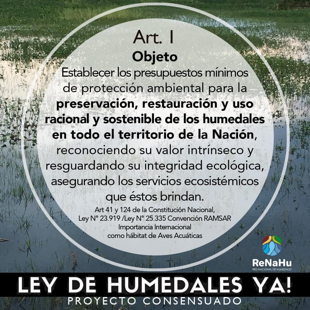 RenahuDe's tweet photo. La LEY DE HUMEDALES pierde estado parlamentario.
NO impulsamos CUALQUIER LEY

Sino el PROYECTO CONSENSUADO EN DIPUTADOS

EXIGIMOS PLENARIA Y APROBACIÓN 

Red Nacional de Humedales https://t.co/q4SkKPVLlz