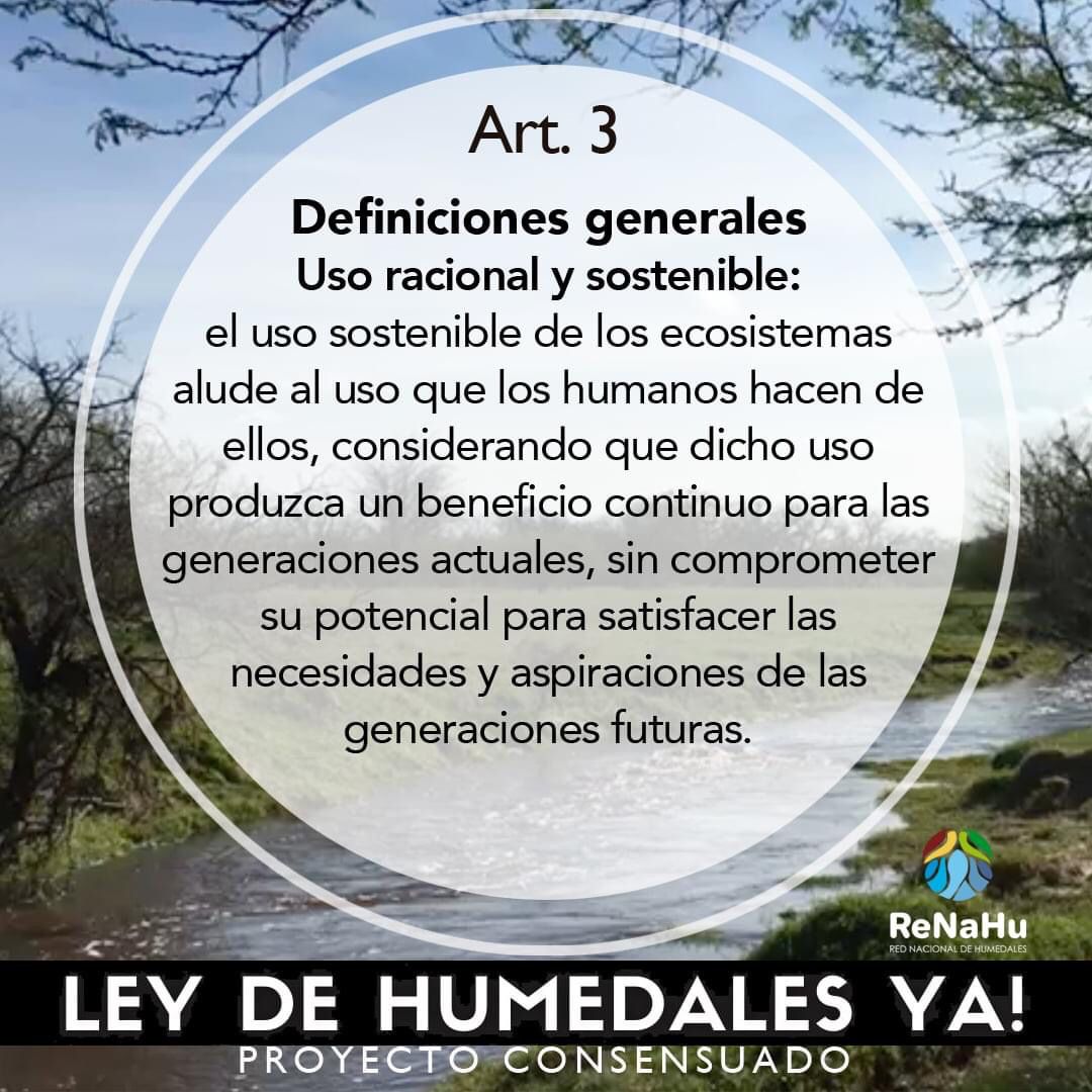 RenahuDe's tweet photo. La LEY DE HUMEDALES pierde estado parlamentario.
NO impulsamos CUALQUIER LEY

Sino el PROYECTO CONSENSUADO EN DIPUTADOS

EXIGIMOS PLENARIA Y APROBACIÓN 

Red Nacional de Humedales https://t.co/q4SkKPVLlz