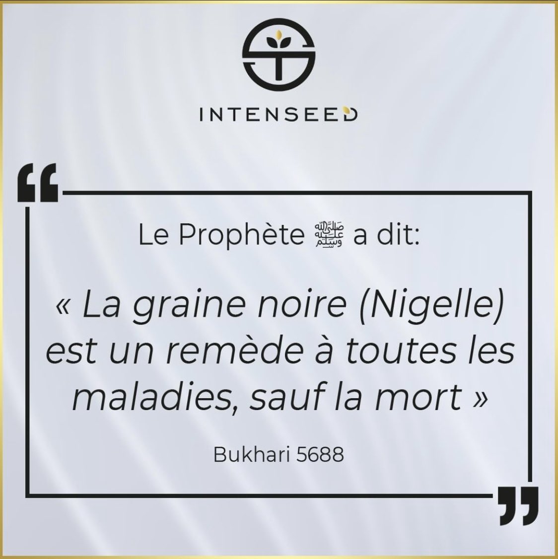 TeamIntenseed's tweet image. 