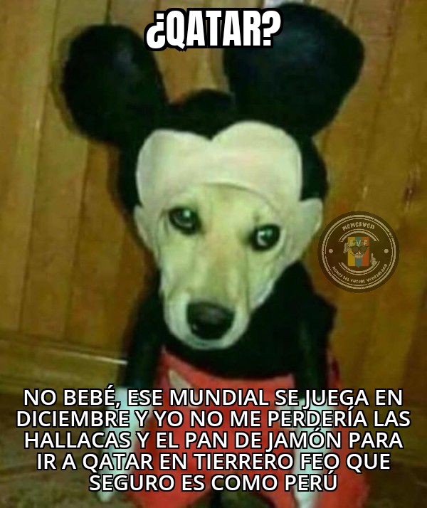 MemesVen tweet picture