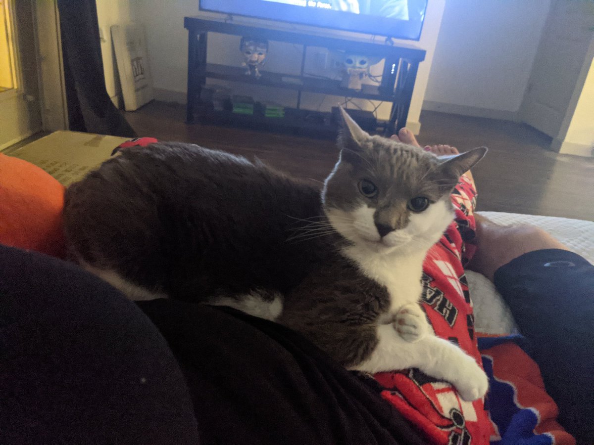 daisystone24's tweet photo. Well. I WAS gonna get up and start dinner. 🤦🏼‍♀️ It's P's world... We all just live in it. #PrincessCastle https://t.co/zZRAOrJPyy