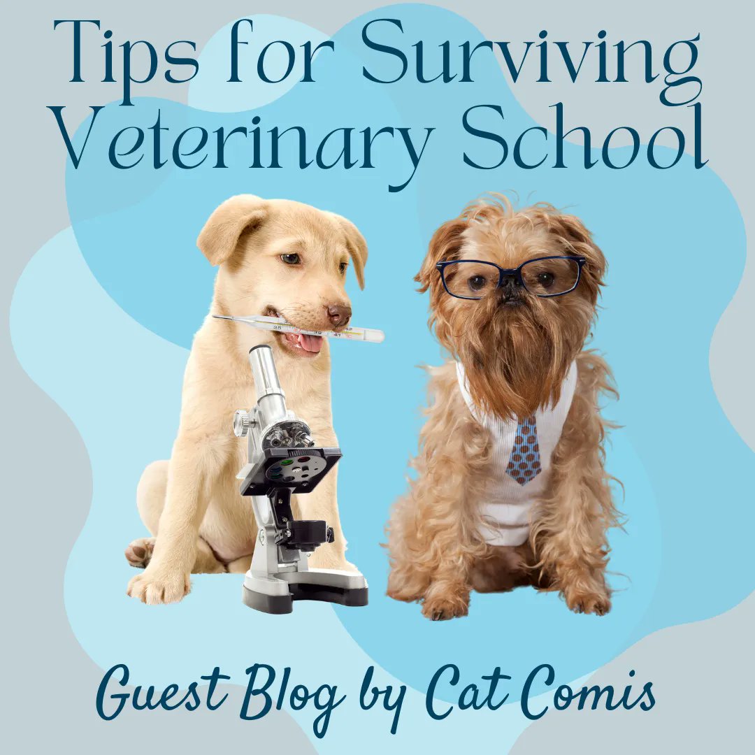 vetmeasure's tweet image. Veterinary School is a challenging and stressful time for all students. Check out these vet school survival tips from our guest blogger Cat Comis! The link is in our bio! #VetSchool #VetMed #VetMeasure