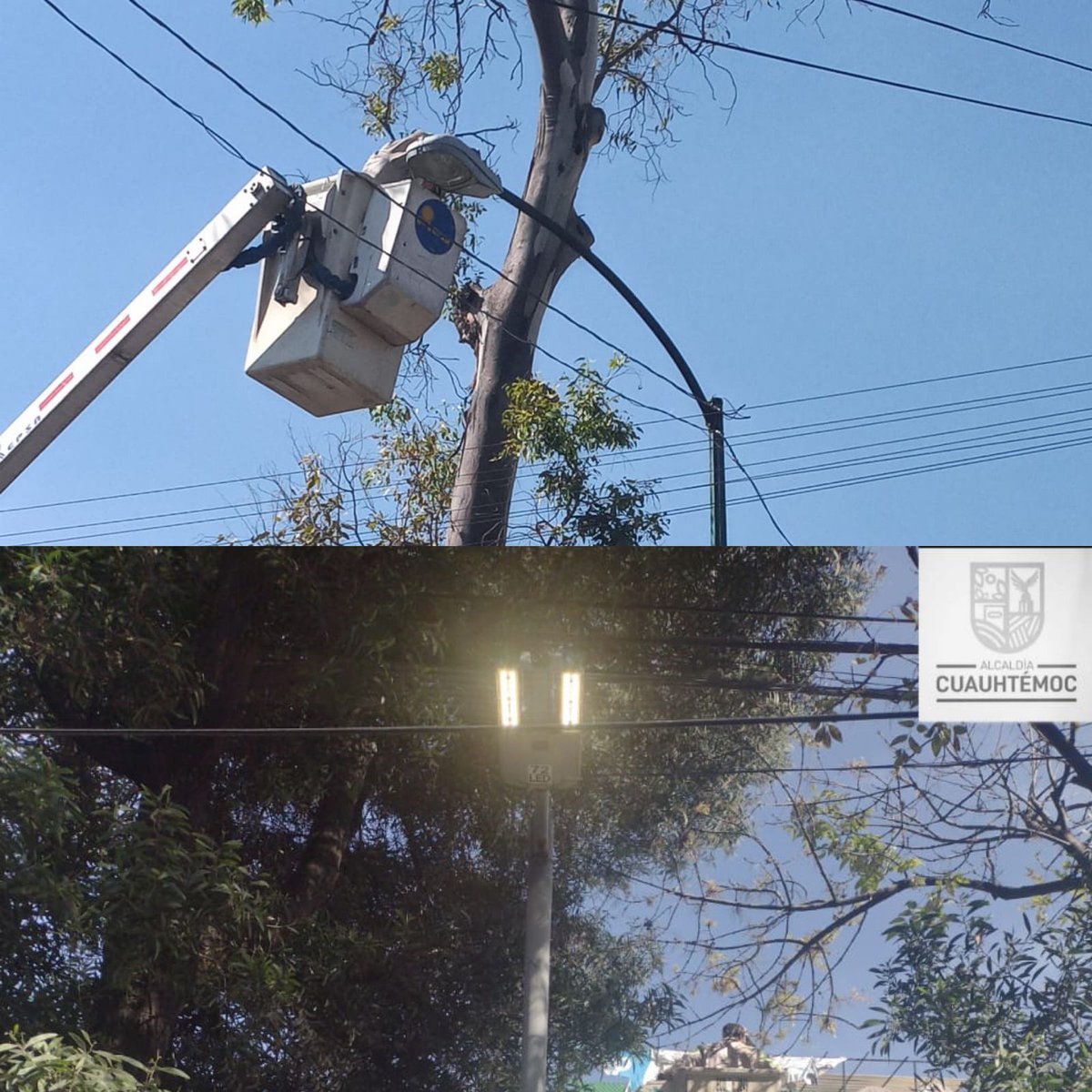 AlcCuauhtemocMx's tweet photo. En atención a solicitudes💬 vecinales, trabajadores de la Territorial #ObreraDoctores llevaron a cabo:
✅Mantenimiento de alumbrado💡, en #DrBarragan
✅Retiro de cascajo🪨, en #DrOlvera, #DrBarragan y #DrRafaelNorma

#CuauhtémocEsTuCasa🏠 https://t.co/71EuMKLrpl