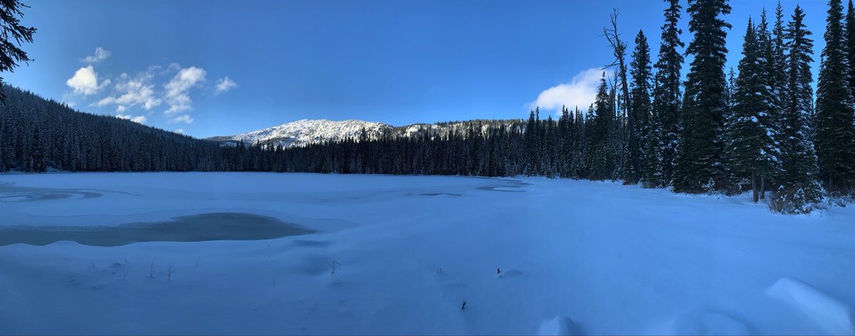 AndrewRansom7's tweet photo. It’s not fish, but this day was neat https://t.co/1WBne6Vvk7