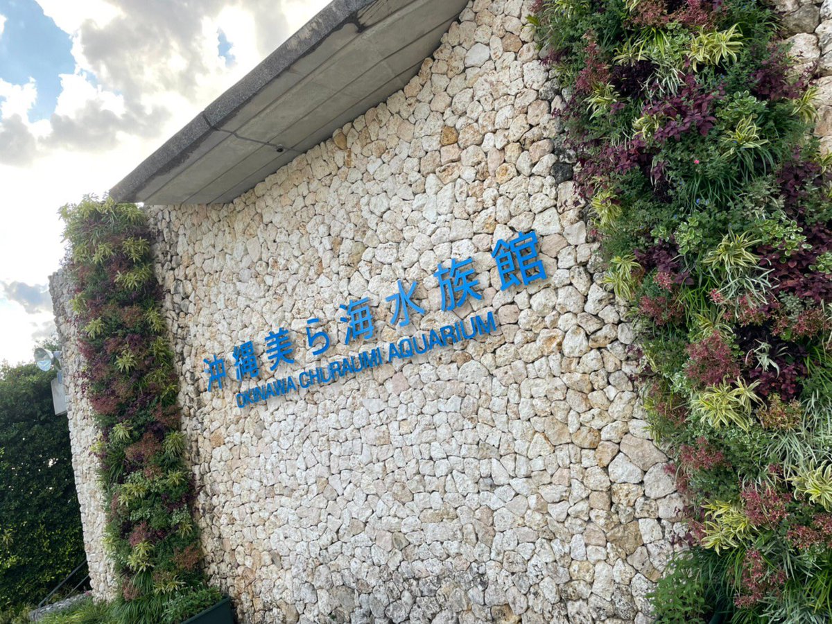 shakeaya's tweet photo. OKINAWA https://t.co/O7kshbtsgx