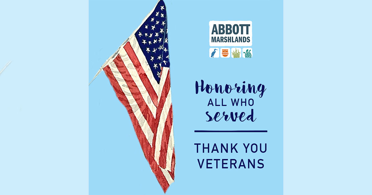 abbottmarshland's tweet photo. Honoring all who served; thank you, veterans!
Come walk our trails. It’s free! Walking for 2.5 hours a week—that’s just 21 minutes a day—can help reduce risk of disease and help us mentally stay sharper. Enjoy the calm of nature at #abbottmarshlands. https://t.co/CjQBwfSJTa