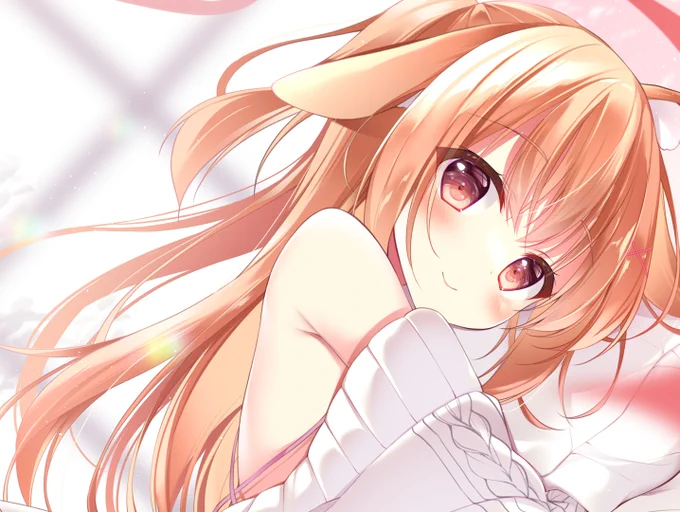 🐰 