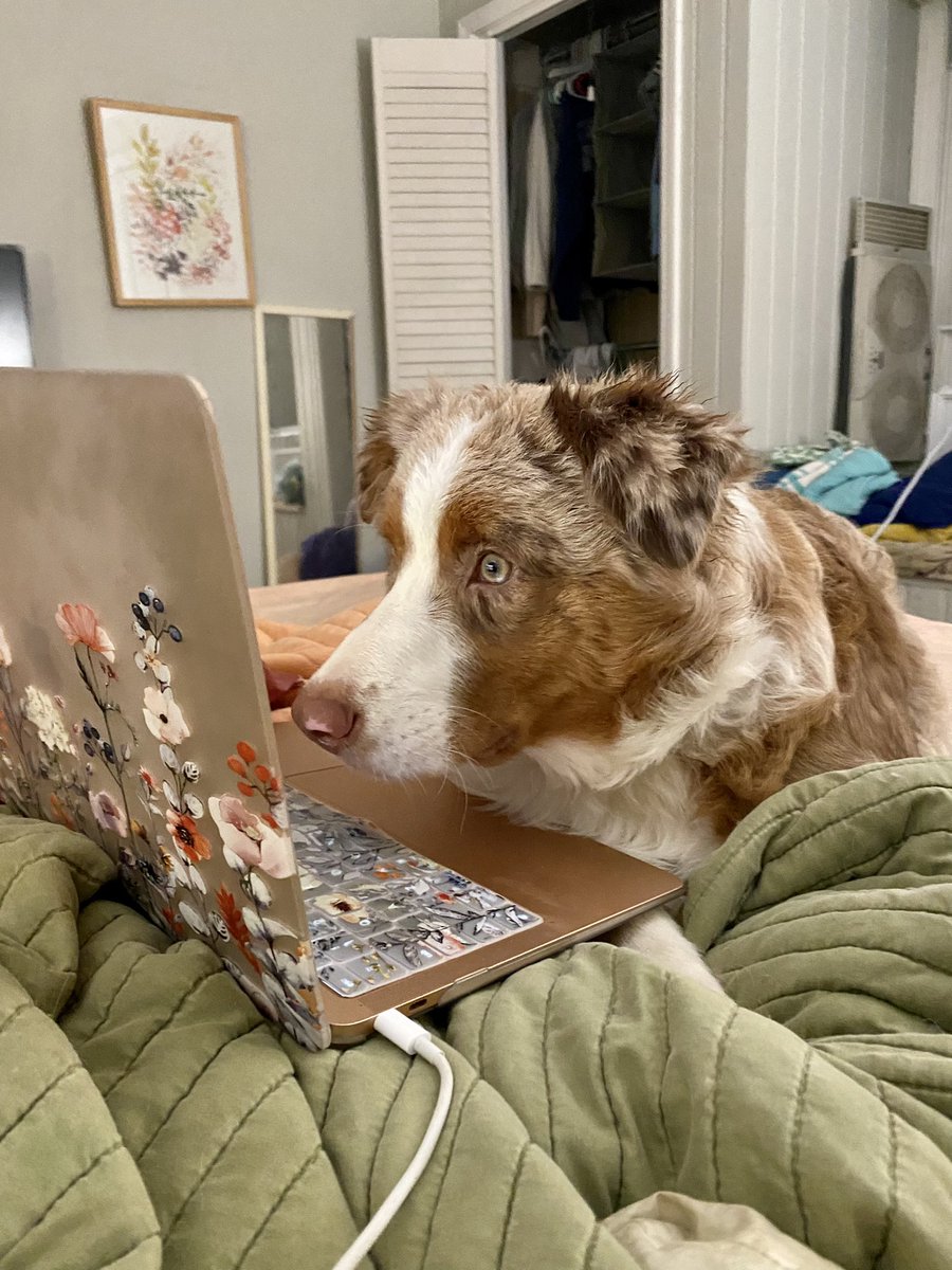 the sometimes friendly ghost tweet media