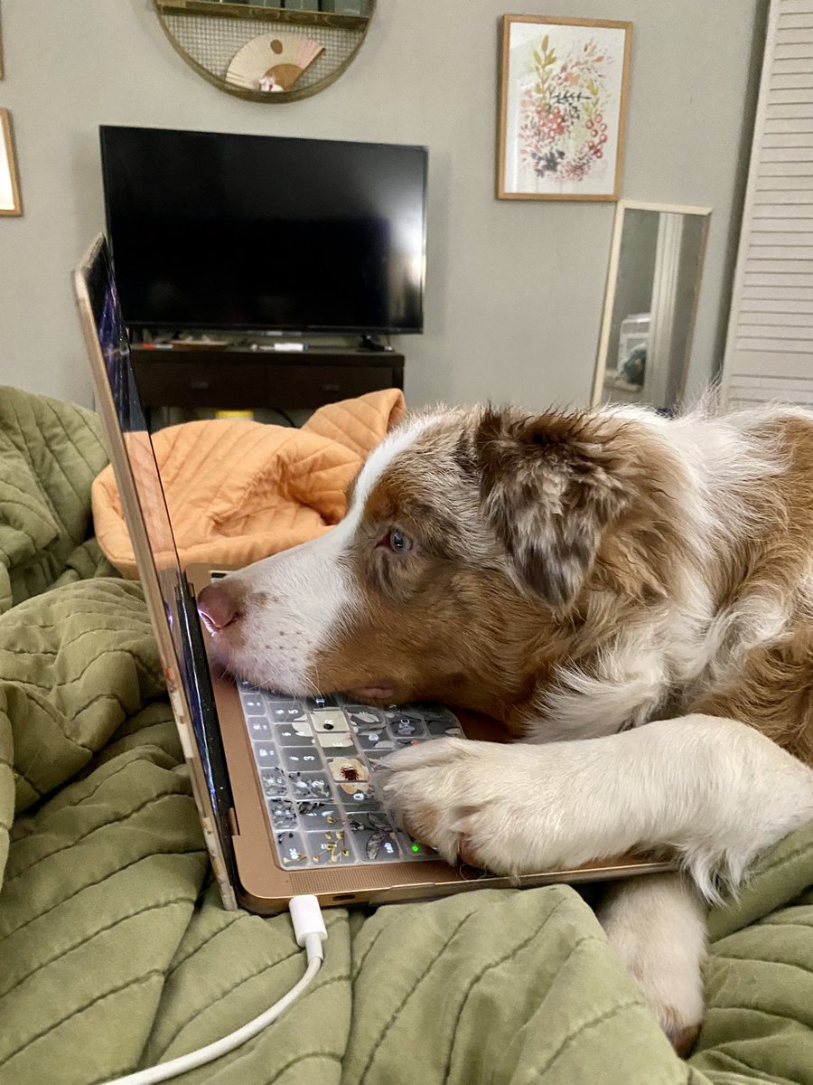 the sometimes friendly ghost tweet media