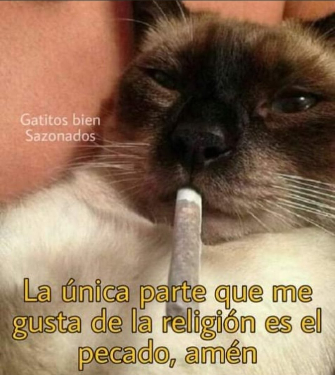 Nekakill's tweet photo. Amen hermanos. https://t.co/Y6w0jJQ5iB