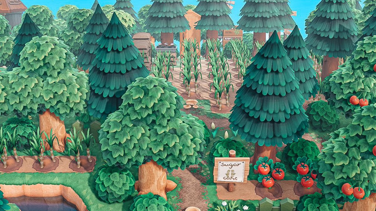 BriclynForest's tweet photo. Check my speed build🙂 https://t.co/Thhjbs8OS3