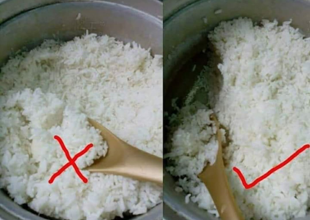 JashJafri's tweet photo. Adab ketika mencedok nasi, rezeki itu cantik disama ratakan.Tak baik kita makan yang di bhg atas bekas periuk, sedangkan yang di bawah-bawah ditinggalkan pada org belakang. https://t.co/3h3SrTL85B