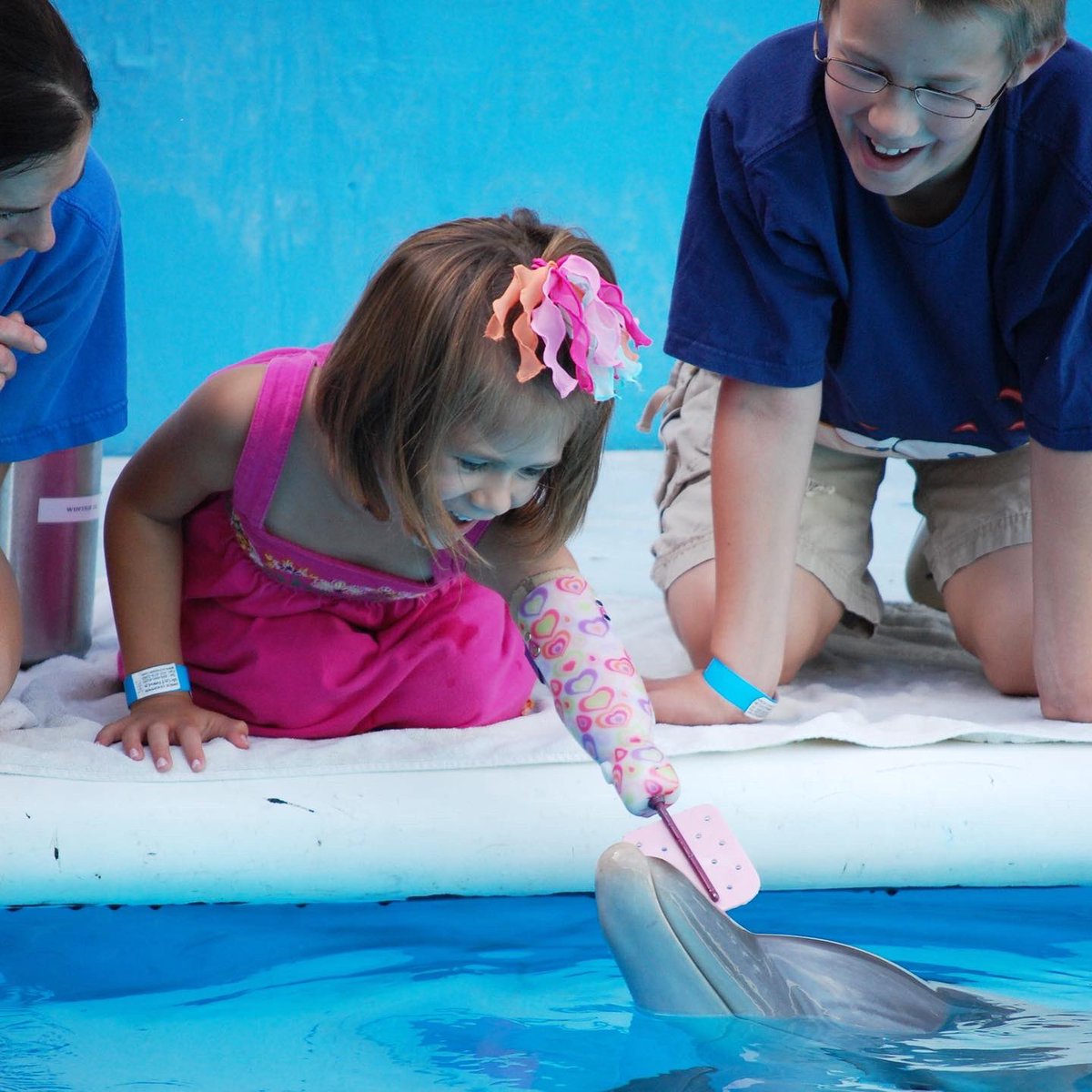 Jordan Reeves (she/her) (@_jordan_reeves) on Twitter photo I’m very heartbroken right now. Winter has always been a big part of my childhood. She was such a great dolphin and I’m going to miss her very much. <a href="/CMAquarium/">Clearwater Aquarium</a> I’m very heartbroken right now. Winter has always been a big part of my childhood. She was such a great dolphin and I’m going to miss her very much. <a href="/CMAquarium/">Clearwater Aquarium</a>