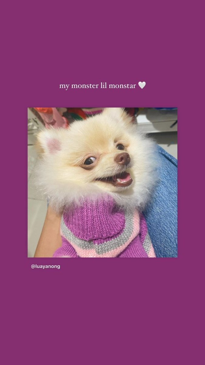 LOUDEFENDER31's tweet photo. Lou's IGS
the clingiest lil monstar π
#LouYanong
#luayanong https://t.co/UjqJ26rGeH