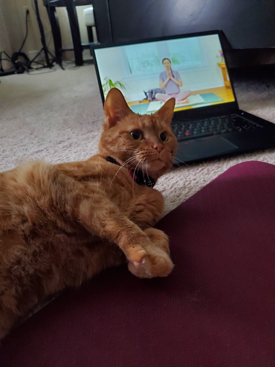 Tiger does yoga and #FindWhatFeelsGood