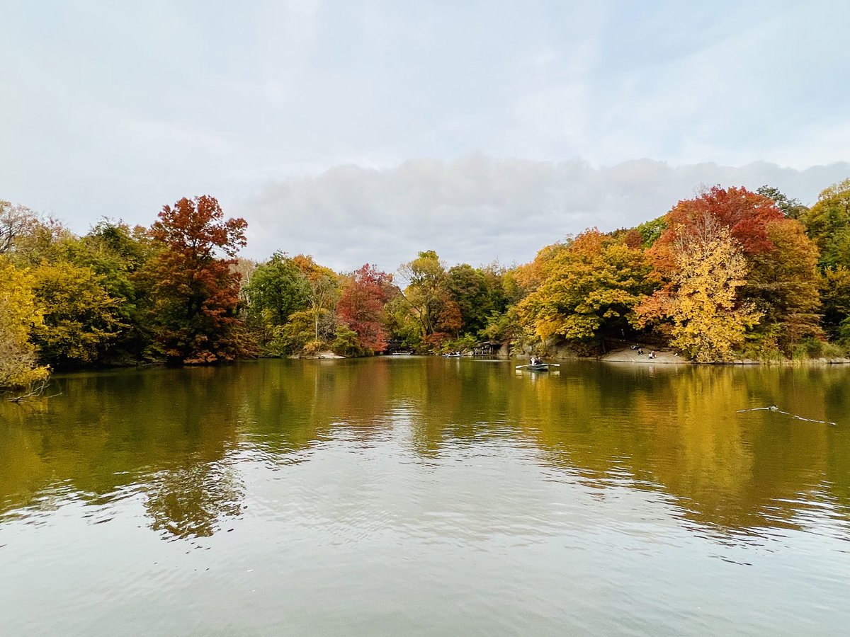 maiderings's tweet photo. 1 hour stroll in Central Park series - first half #fall #nyc ⁦@CentralParkNYC⁩ https://t.co/NvM2T6S5oP