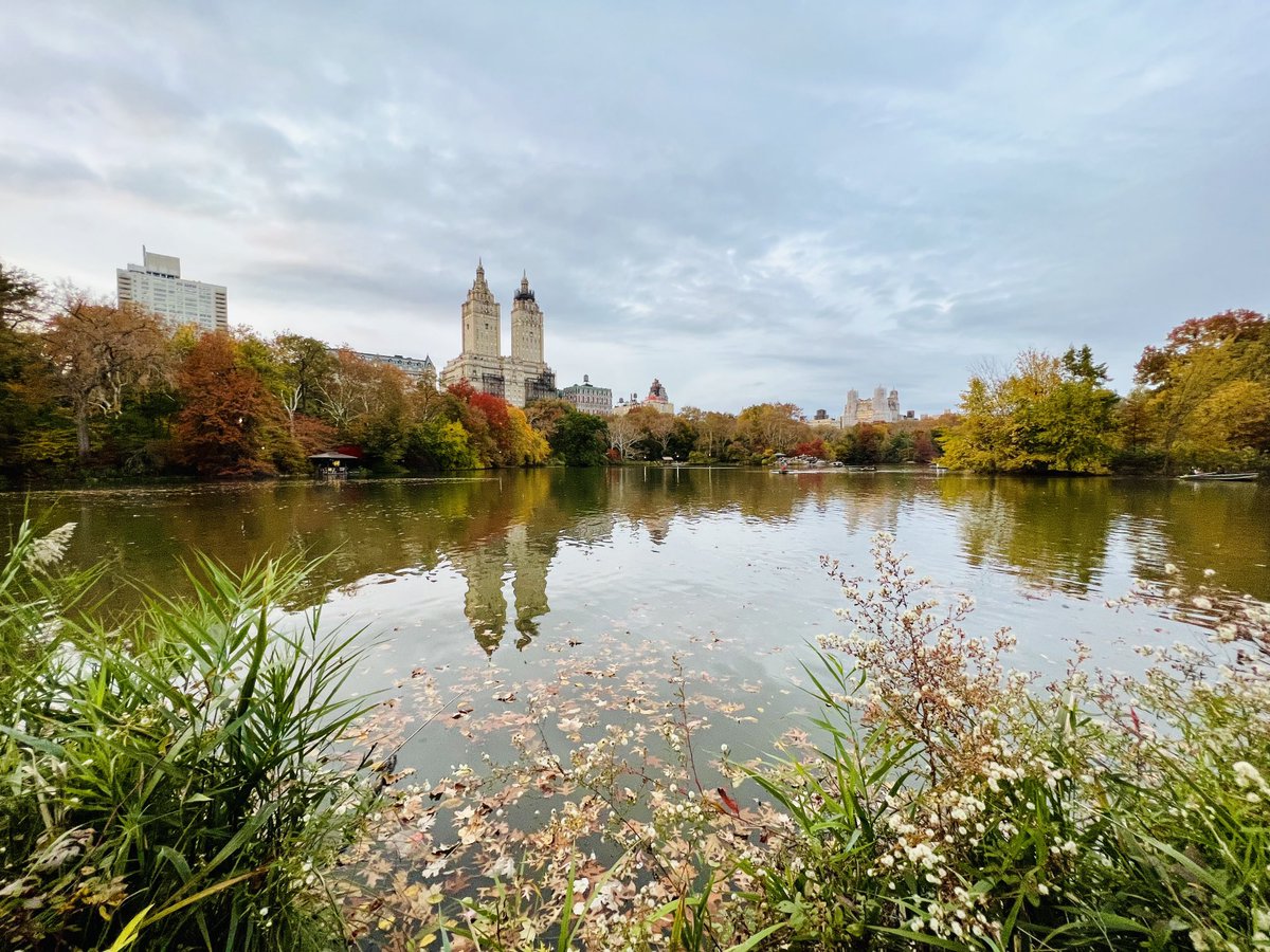 maiderings's tweet photo. 1 hour stroll in Central Park series - first half #fall #nyc ⁦@CentralParkNYC⁩ https://t.co/NvM2T6S5oP