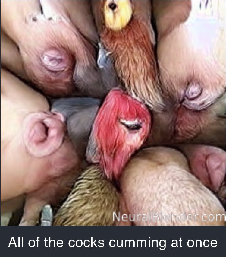 Doctor Octave tweet media