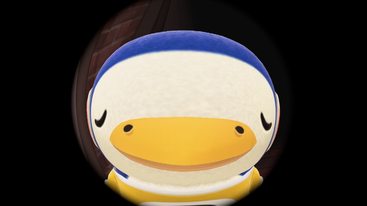 kadiumz's tweet photo. what is he thinking about... #AnimalCrossing #ACNH #NintendoSwitch #chabwick https://t.co/OUWikJPLnq