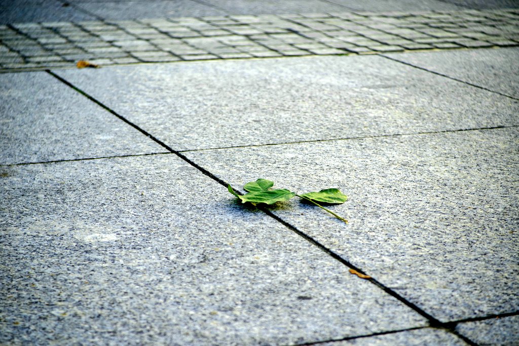 Okular76's tweet image. Bez tytułu...
#Isco gottingen #projectorlens