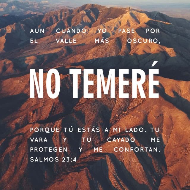 tonyhannagrayeb's tweet photo. Versículo del día #temere https://t.co/83MZrWoonT
