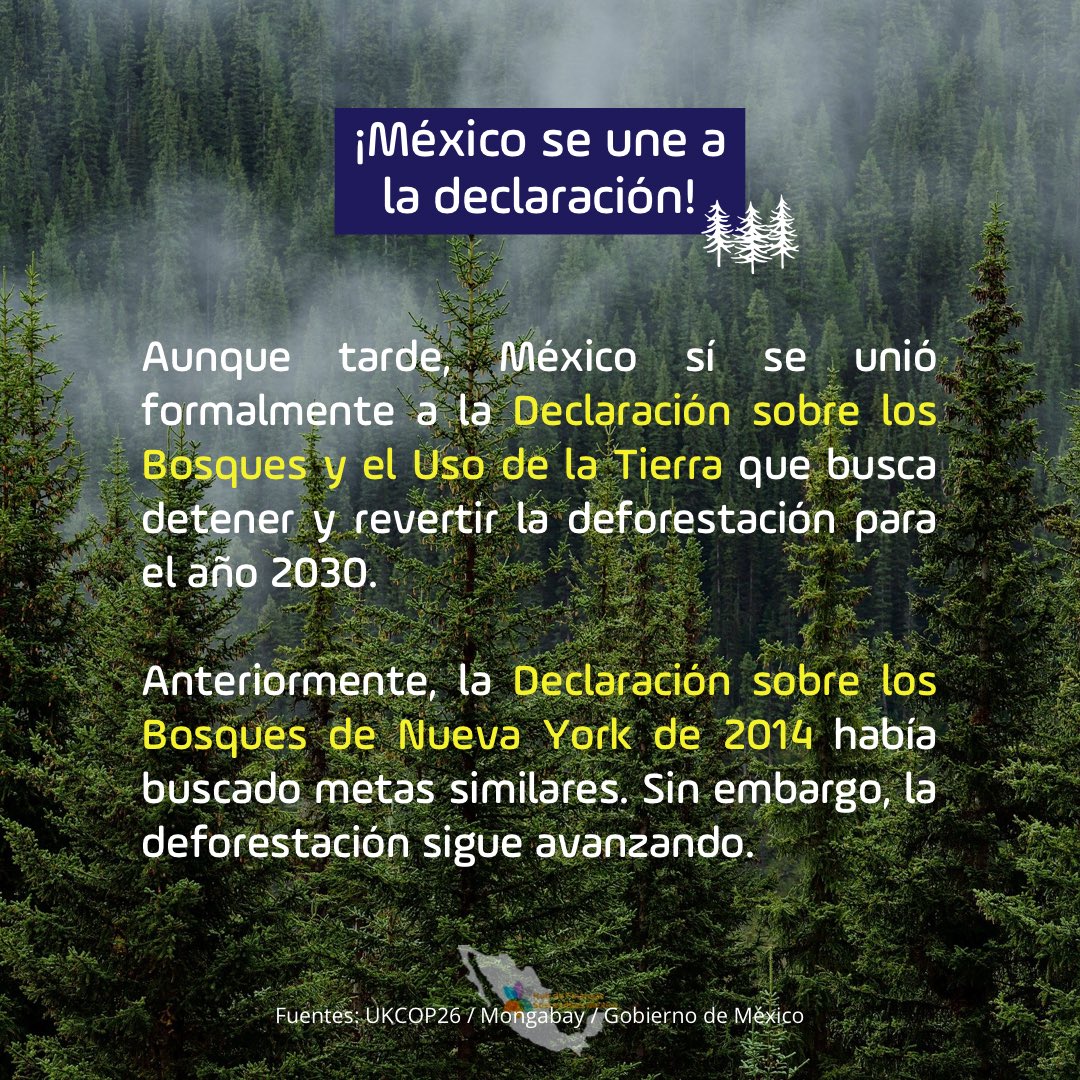 HubFinanzasSMX's tweet photo. La #COP26 nos ha dejado mucho estos días. Les invitamos a conocer algunos de los momentos más relevantes de la primera semana. 🌎
#HubFSMxInforma #HubFSMxCOP26 #gflac #hubmexico #finanzassostenibles #FinanzasSosteniblesXFuturo
#SustainableFinance4Future #cambioclimatico https://t.co/605hCgknzZ