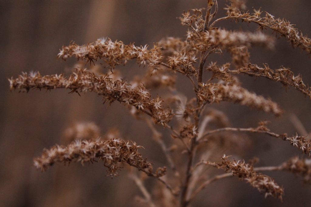 Platte Basin Timelapse tweet media