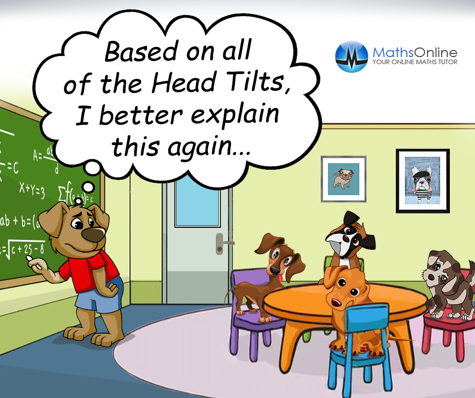 #dogs #dogsofinstagram #headtilt #mathsteacher #explained #wholesomememes #teaching #learningmaths