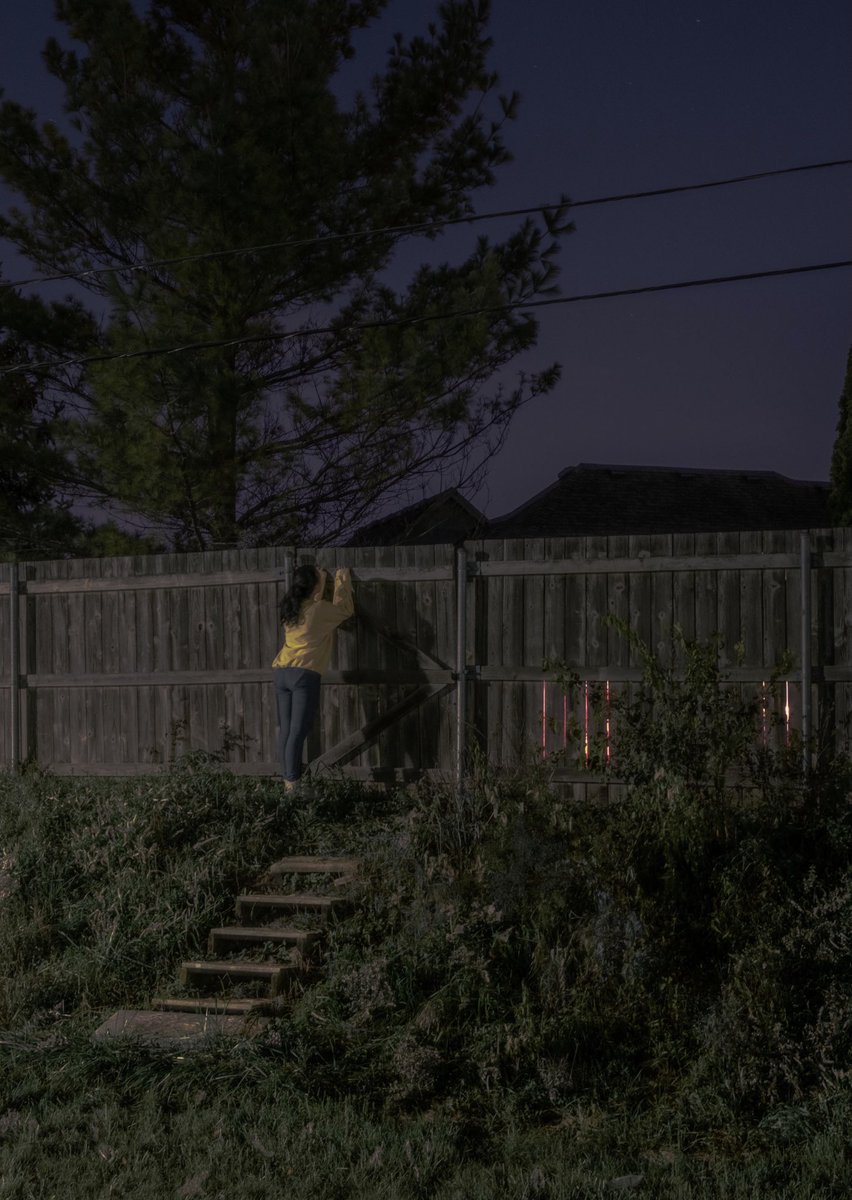 talericonick's tweet photo. “Trouble Seeing Over the Fence” https://t.co/gngraGqiJH