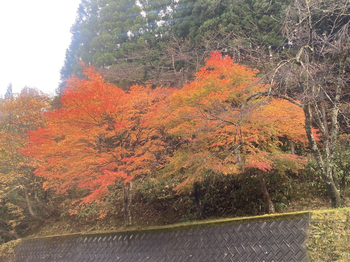 queserasera4416's tweet photo. いい感じ https://t.co/iQbFz09nAa