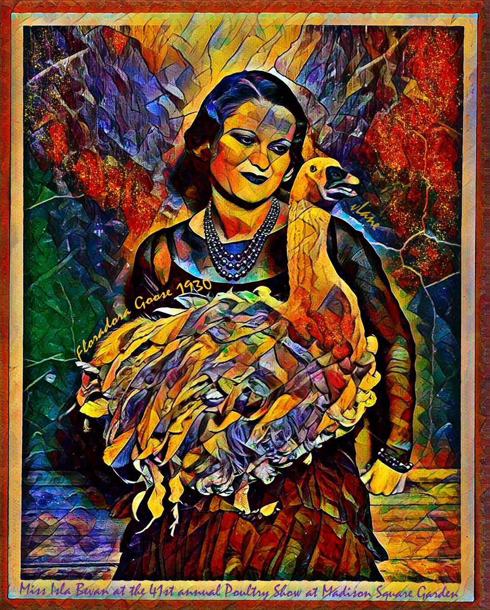 vlaneART's tweet photo. Meet Miss Isla Bevan with her oddly plumed "Floradora Goose" a rare goose, decorated with fluffy un-gooselike feathers, at the 41st annual Poultry Show at Madison Square Garden. 1930 #history #libraryofcongress #art #digitalart #digitalartist #digitalartists #vlaneArt #nft https://t.co/k2QBx2JH6f