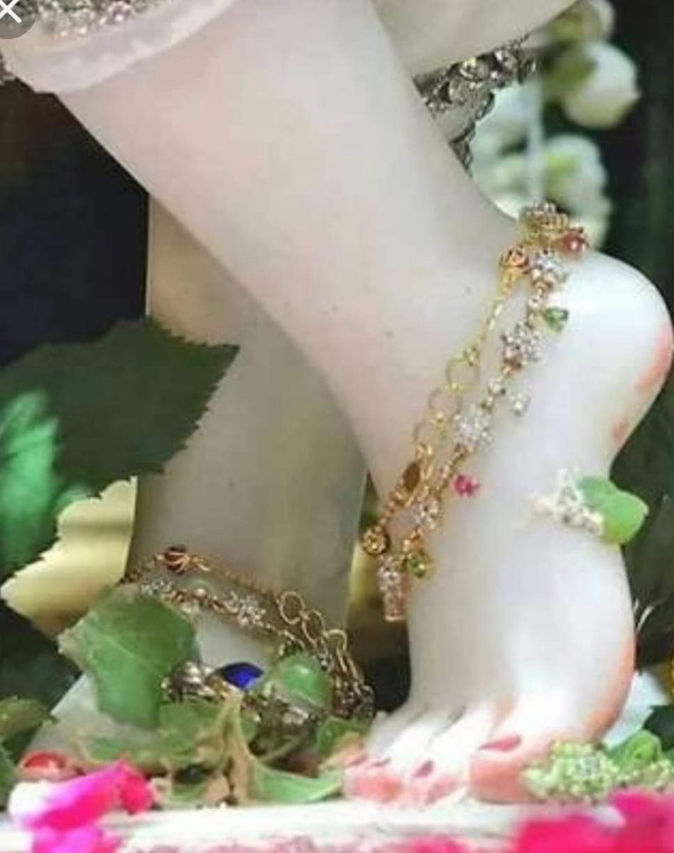 RashmiRekhaRath's tweet image. Happy #AmlaNavami and #Radhapadadarshan to dear all