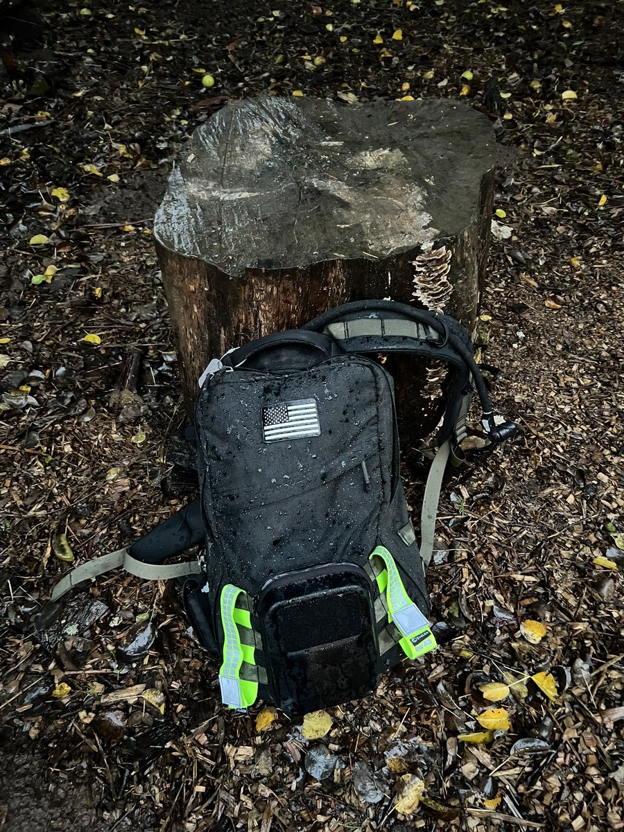 Brady MacDonald tweet media