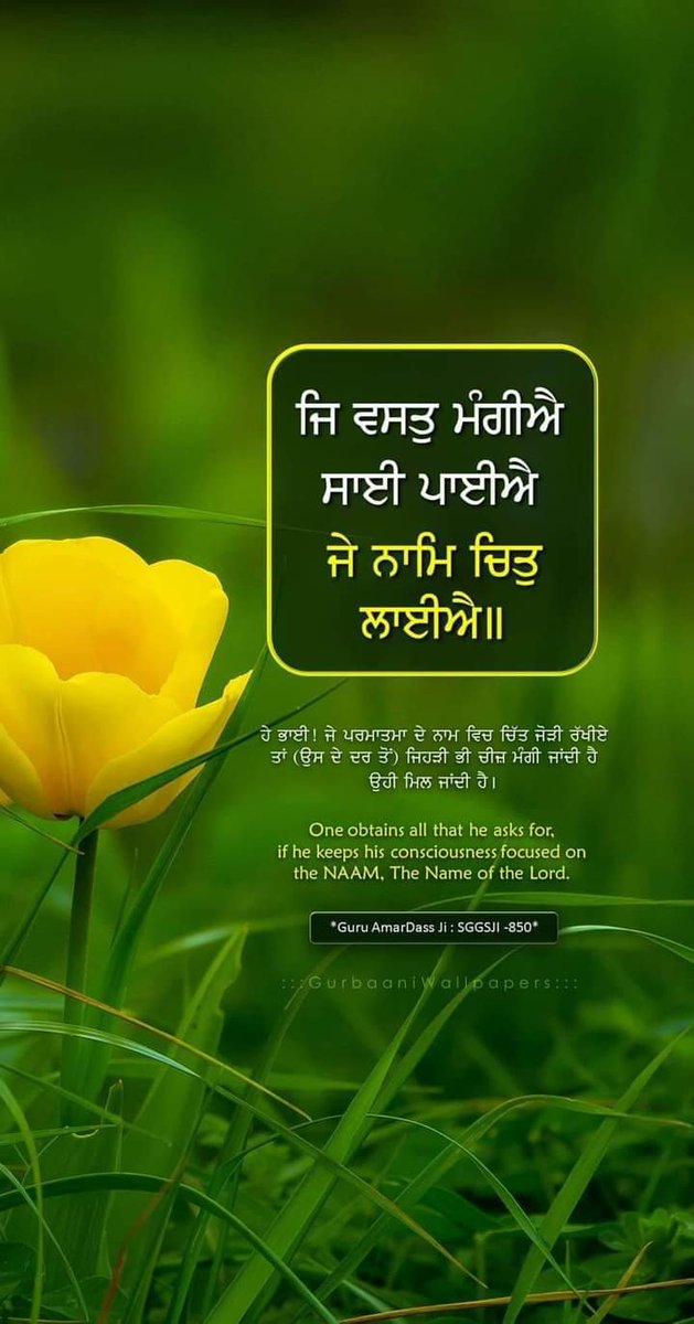 Namdhari_sikhs's tweet photo. ਜਿ ਵਸਤੁ ਮੰਗੀਐ ਸਾਈ ਪਾਈਐ ਜੇ ਨਾਮਿ ਚਿਤੁ ਲਾਈਐ।। 
. 
. 
. 
. 
. 
#gurunanak #gurunanaknaamleva #gurbani #SikhCommunity #Sikhs #gurugranthsahib https://t.co/zzedXieMrL