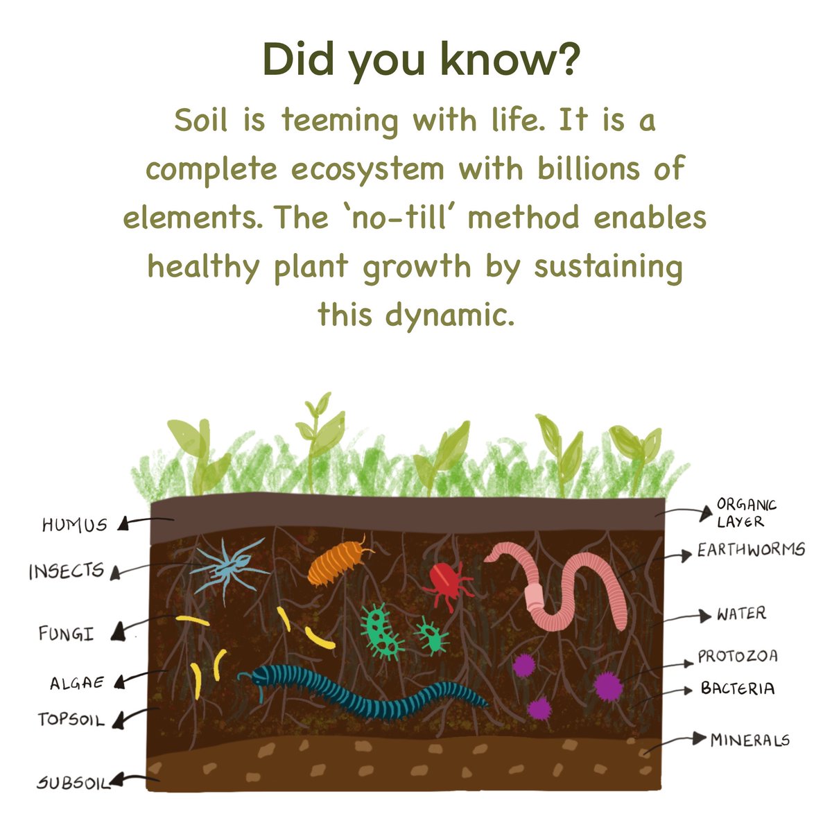 Components of a healthy soil.
#permaculture #organicgardening #growyourown #sustainability #permacultureeducation
#soilhealth
#sustainabilityagriculture #permaculturedesign #soil #ecosystem